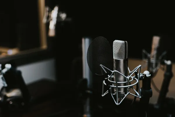 Professional studio condenser microphone for podcast recording